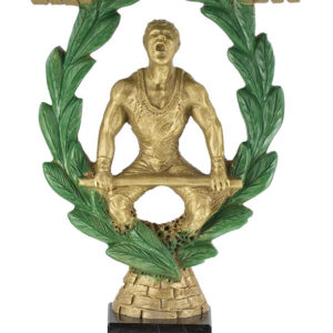 TROFEO DE HALTEROFILIA REALIZADO EN RESINA 34 cm