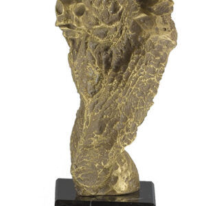 TROFEO DE TOROS CON GRABACIÓN DE REGALO 23CM