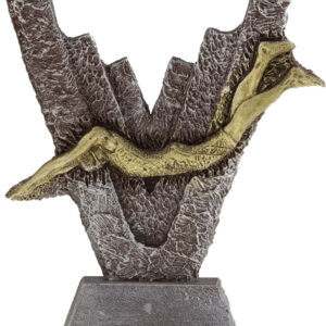 TROFEO DE NATACIÓN ECONÓMICO MODELO V