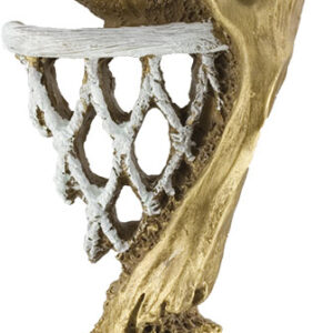 TROFEO DE BALONCESTO CONCURSO DE MATES - GRANDE