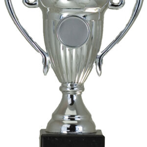 COPA PERSONALIZABLE POR DEPORTE 15 CM