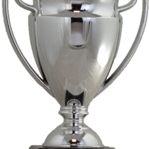 COPA TIPO COPA DE EUROPA REALIZADA EN PLÁSTICO 20 CM