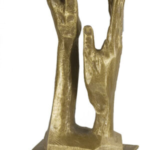 trofeos de literatura libros