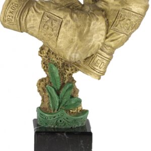 TROFEO DE BOXEO RESINA ALTA CALIDAD 25 CM