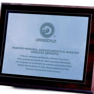 PLACA DE HOMENAJE LISA TAMAÑO MEDIANO