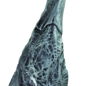 TROFEO CONCURSO CORTE DE JAMÓN SEGUNDO PREMIO