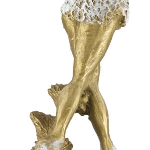 Trofeo patinadora grande