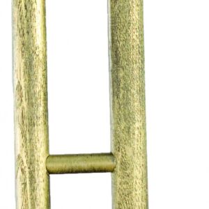 Trofeo de rugby grande