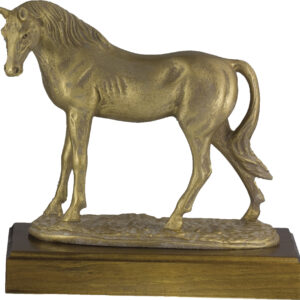 trofeo caballo