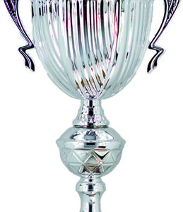 COPA GRAN TAMAÑO CON TAPA BASE EN MADERA 72 CM ENVÍO DE REGALO