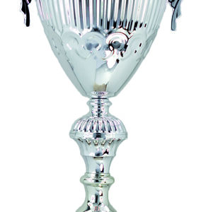 COPA DEPORTIVA PLATEADA 43 CM