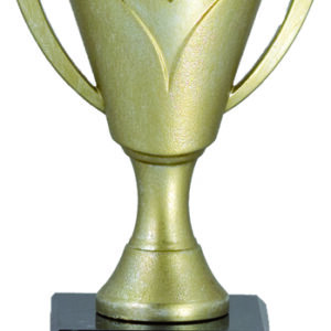 TROFEO ECONÓMICO DORADO