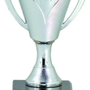 TROFEO ECONÓMICO PLATEADO