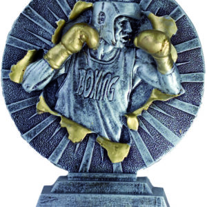 trofeo boxeo