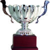 copa trofeo ensaladera