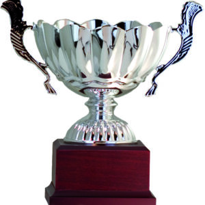 copa trofeo ensaladera