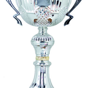 COPA CON ASAS PLATEADA 37 CM