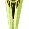 trofeo diseño