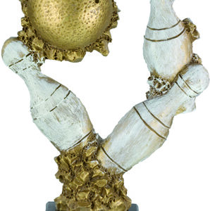 trofeos bowling bolos