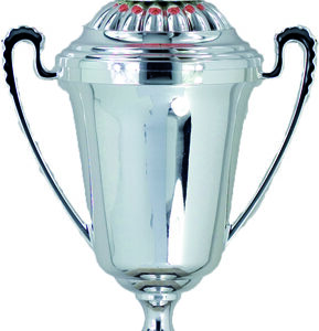 trofeo copa baloncesto