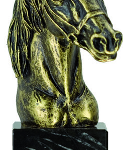 Trofeo hípica cabeza caballo