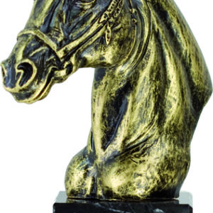 Trofeo cabeza caballo