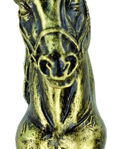 Trofeo cabeza caballo