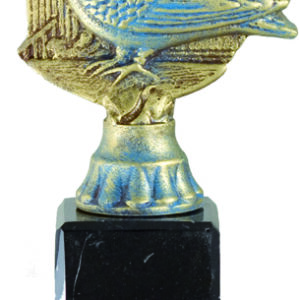 Trofeo Colombicultura