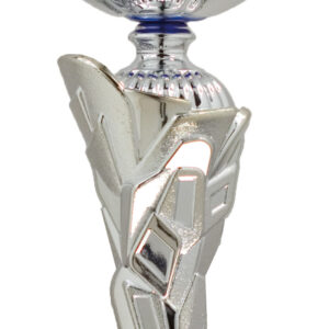 trofeos de futbol