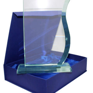 placa reconocimiento cristal